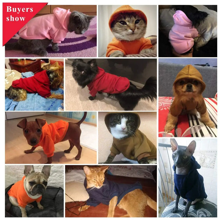 Pets-Shop. A collage of various pets wearing cute costumes, including cats and dogs in colorful outfits. Shopets-Amazon.