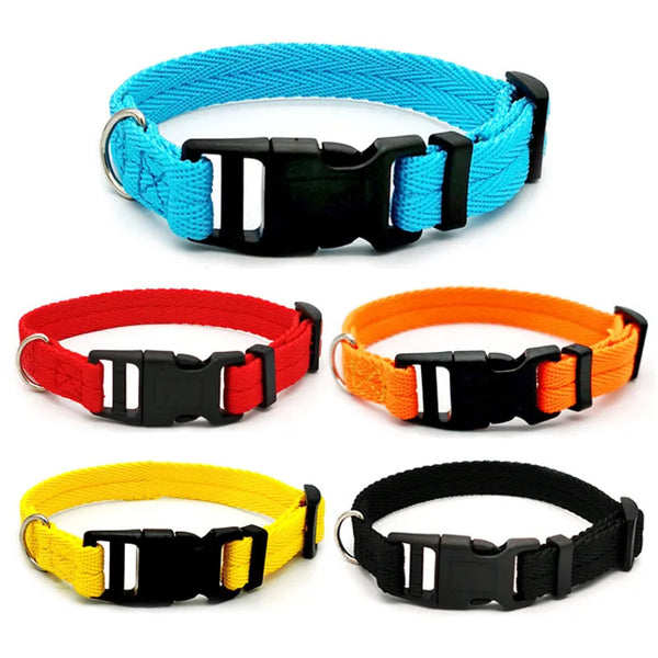 SHOPETS Nylon Webbing Dog Collar for Small to Medium Dogs - Fashion Buckle in Multiple Colors