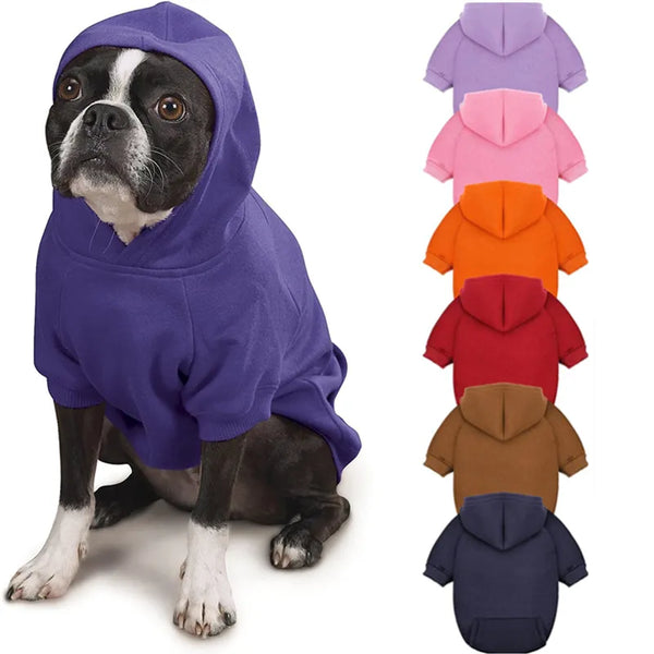 Pets-Shop. Dog in a purple hoodie sitting, with various colored hoodies displayed behind. Shopets-Amazon.