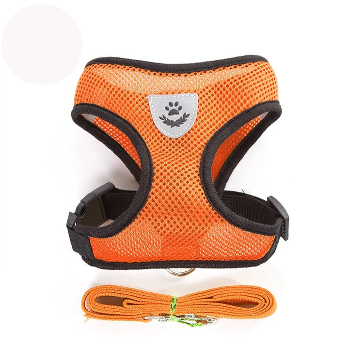 Pets-Shop: Orange breathable mesh dog harness with adjustable black straps and a matching leash set against a white background. Shopets-Amazon.