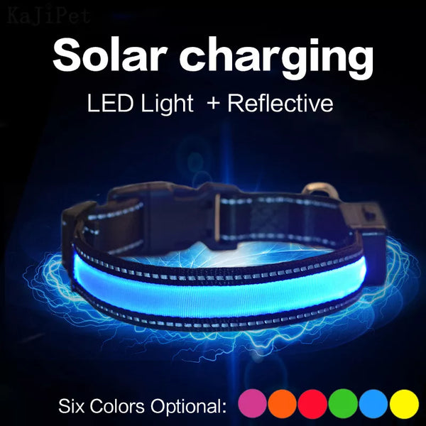 Pets-Shop Illuminated blue solar charging LED dog collar with reflective strip on dark background. Shopets-Amazon.