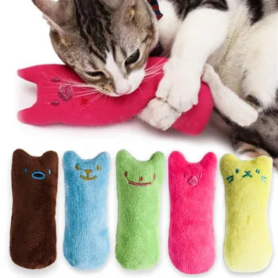 Pets-Shop: A cat playing with a red fish-shaped toy above an array of colorful plush catnip toys shaped like fish. Shopets-Amazon.