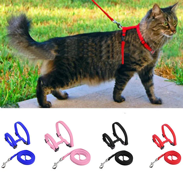 SHOPETS Adjustable Nylon Dog Cat Harness and Leash Set