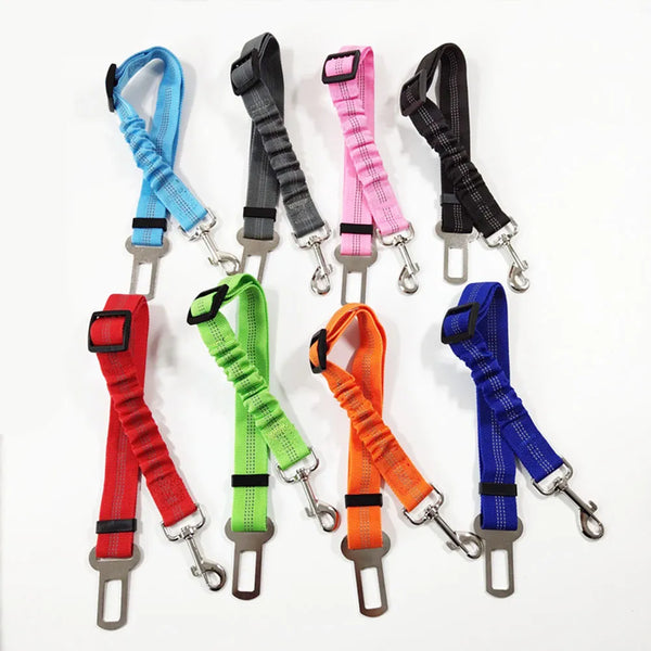 Pets-Shop. An assortment of colorful dog leashes with metal clasps and adjustable loops on a white background. Shopets-Amazon.