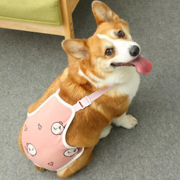 Pets-Shop - A cheerful Corgi dog wearing a pink harness with smiley faces sits on a carpet. - Shopets-Amazon