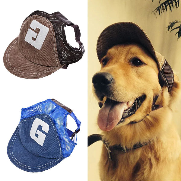 Pets-Shop. A golden retriever wearing a stylish cap and a showcase of two pet hats, one brown and one blue with a 'G' emblem. Shopets-Amazon.