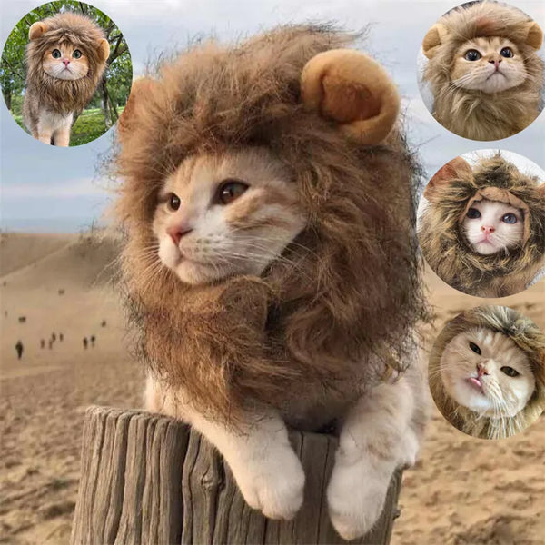 SHOPETS Lion Mane Cat and Small Dog Wig Hat for Pet Decor Accessories