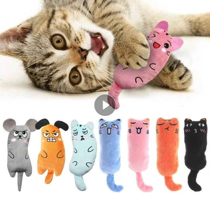 Pets-Shop: A playful kitten with a selection of colorful catnip toys shaped like mice and fish. Shopets-Amazon.