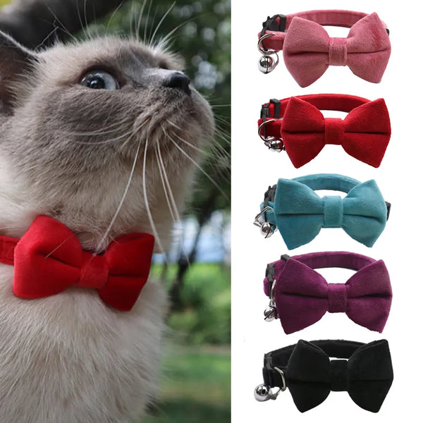 Pets-Shop. A Siamese cat looking up, and a collection of colorful bow ties for pets in red, pink, blue, purple, and black. Shopets-Amazon.