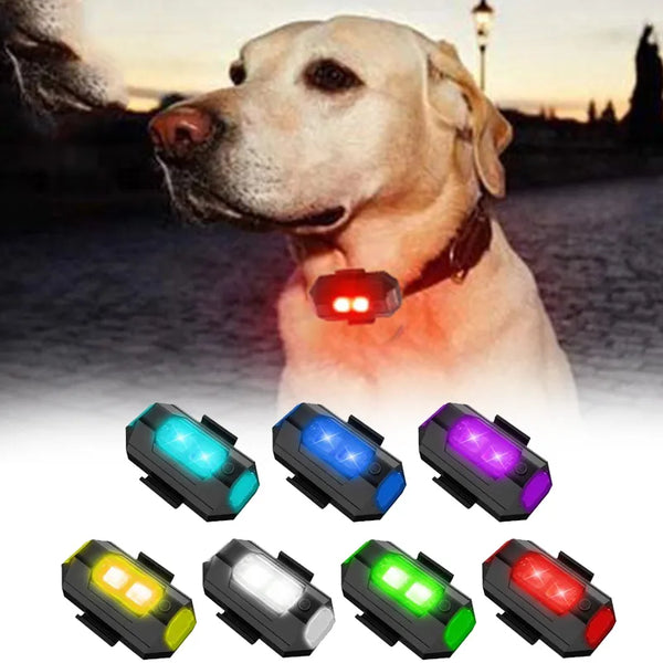 Pets-Shop Labrador with a light-up collar attachment and assorted colored lights on display. Shopets-Amazon.