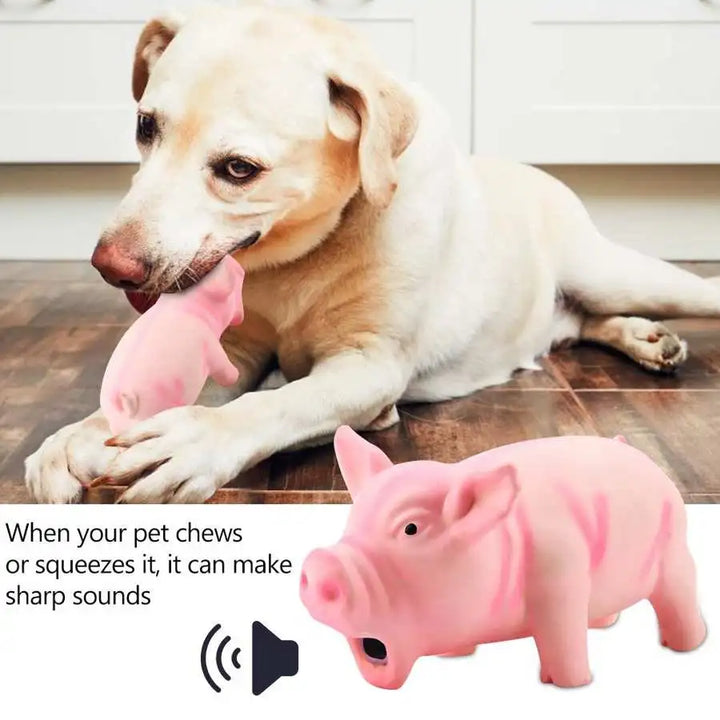 Pets-Shop: A Labrador dog chewing a pink pig-shaped toy that makes sounds on a wooden floor. Shopets-Amazon.