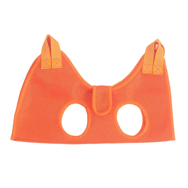 Pets-Shop. Orange pet harness with two leg holes and secure buckle on white background. Shopets-Amazon.