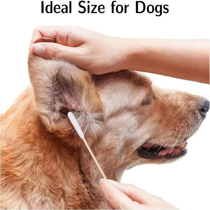 Pets-Shop. Close-up of a hand cleaning a dog's ear with a cotton swab, text "Ideal Size for Dogs" displayed. Shopets-Amazon.