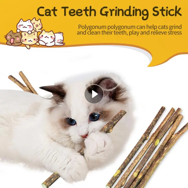 Pets-Shop. A white cat bites on a brown cat teeth grinding stick with more sticks and illustrations of cats nearby. Shopets-Amazon.