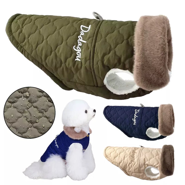 Pets-Shop. A collection of dog coats in different colors displayed on a white background, with a plush dog wearing one. Shopets-Amazon.