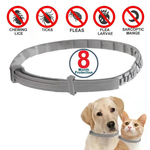 Pets-Shop Flea and tick prevention collar on a dog and cat with icons showing protection against pests for 8 months. Shopets-Amazon.