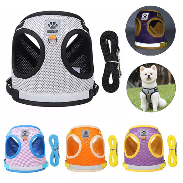 SHOPETS Reflective Safety Pet Dog Harness and Leash Set for Small to Medium Dogs and Cats