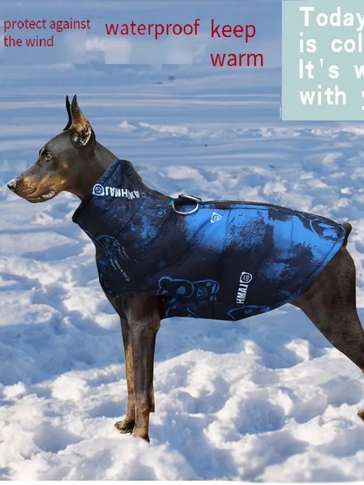 Pets-Shop. Dog wearing a blue waterproof jacket standing on snow, with text promoting cold weather protection. Shopets-Amazon.