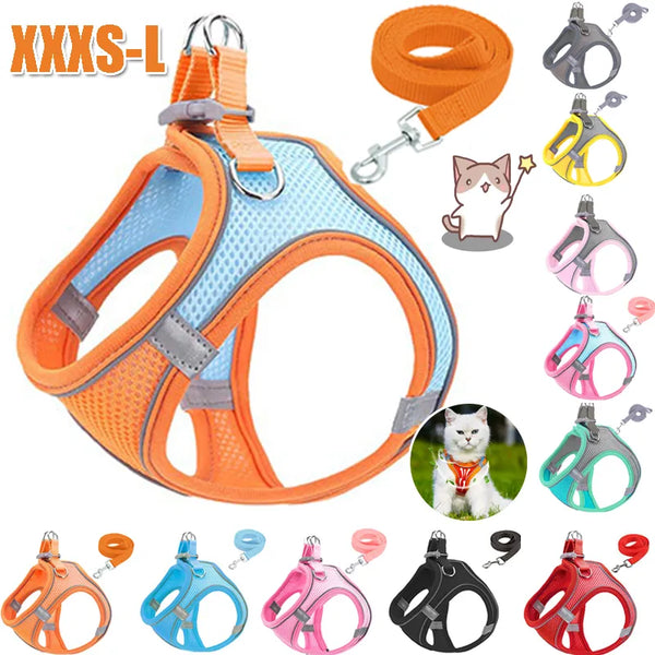 Pets-Shop. A variety of colorful pet harnesses and leashes, suitable for small animals, displayed with sizing icons. Shopets-Amazon.