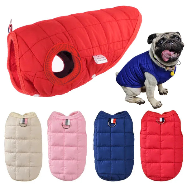 Pets-Shop. A collage of pug dog wearing a blue vest and various colored pet vests in red, pink, beige, and blue. Shopets-Amazon.