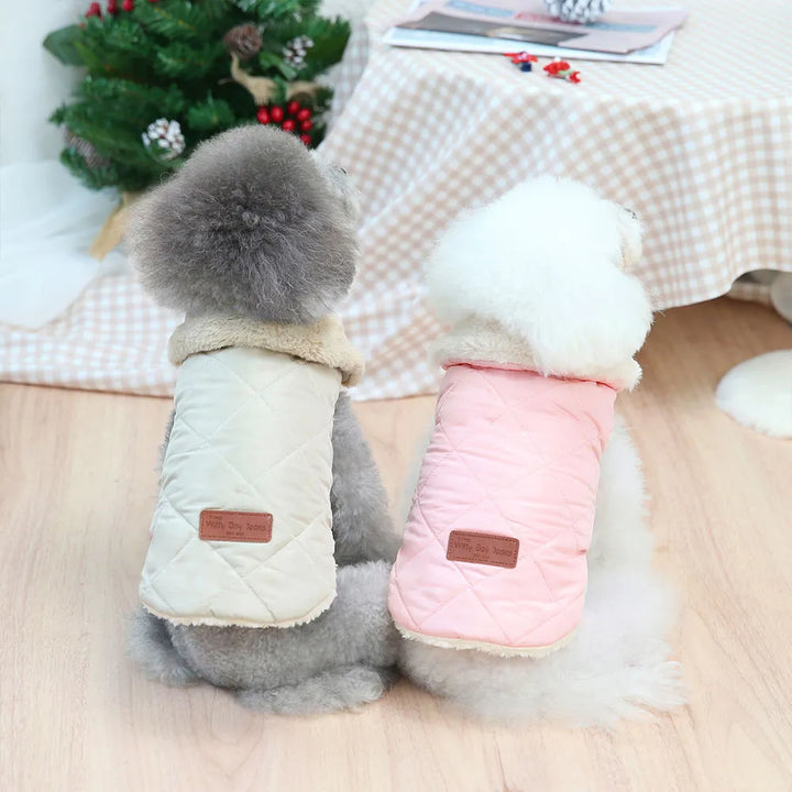 Pets-Shop Two fluffy dogs wearing quilted jackets facing away towards a festive backdrop. Shopets-Amazon.