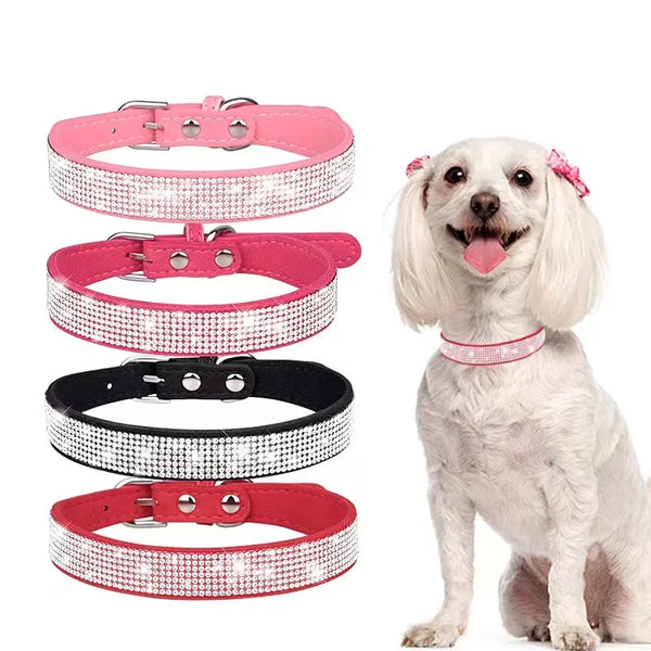 Pets-Shop. A smiling white dog wearing a pink collar, alongside three sparkly collars in pink, silver, and black. Shopets-Amazon.