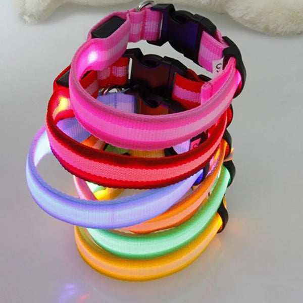 SHOPETS LED Dog Anti-lost Collar