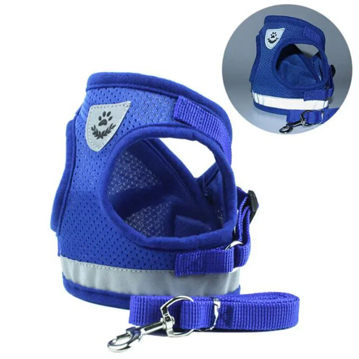 Pets-Shop: Blue breathable mesh dog harness with adjustable strap and silver leash clip. Shopets-Amazon.