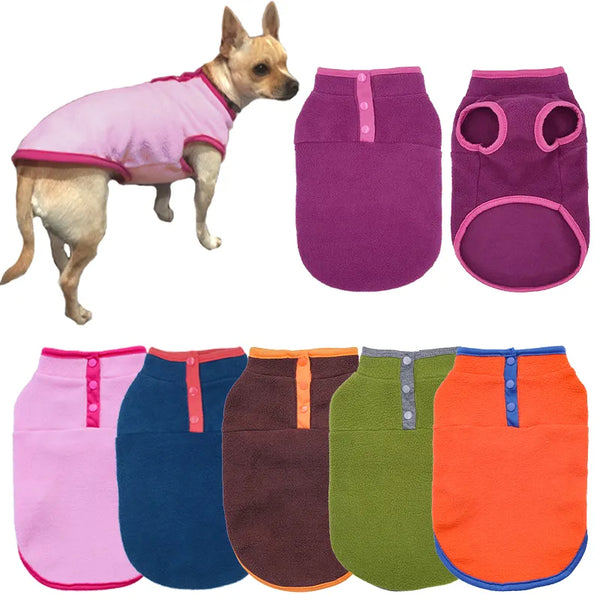 Pets-Shop: A dog wearing a pink coat, with a display of various colored dog coats (purple, blue, red, green, orange). Shopets-Amazon.