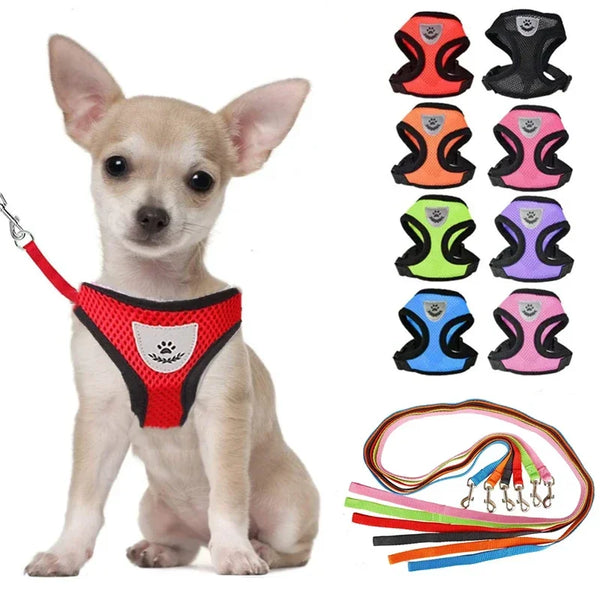 SHOPETS Nylon Mesh Cat Harness and Leash for Small Dogs and Puppies