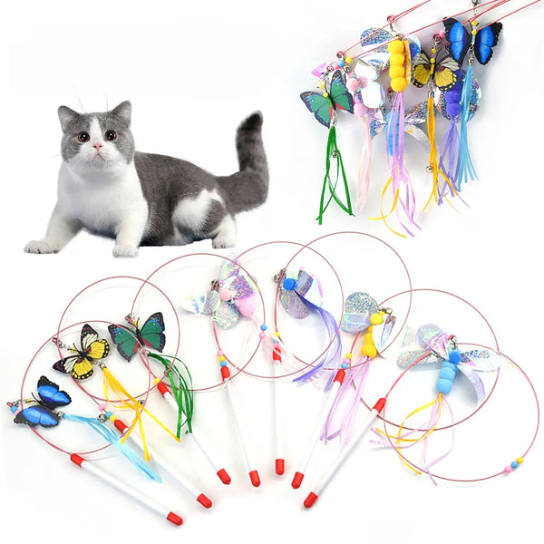 Pets-Shop: Gray and white cat with various colorful cat teaser toys with feathers and butterflies. Shopets-Amazon.