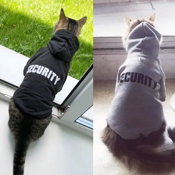 Pets-Shop Two cats wearing "SECURITY" hoodies, one looking out a door, the other from above. Shopets-Amazon.