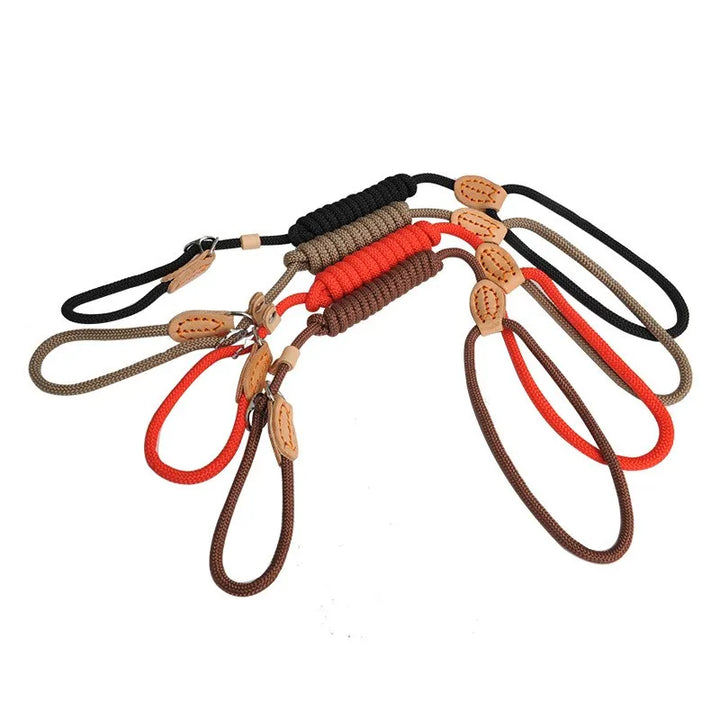 Pets-Shop. Collection of multi-colored rope dog leashes with leather handles on white background. Shopets-Amazon.