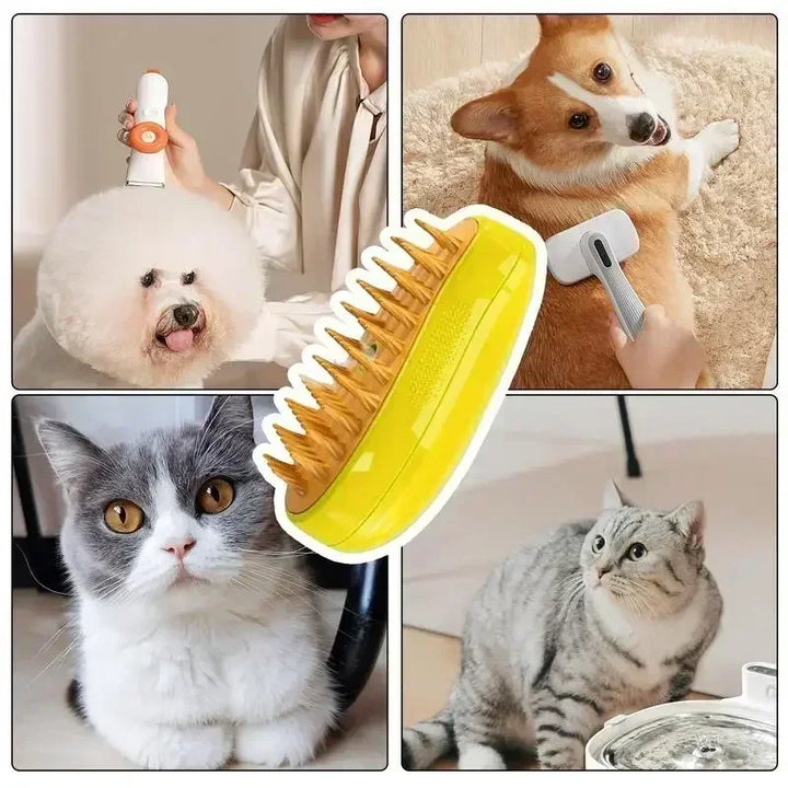 Pets-Shop. Collage of pet grooming: Bichon Frise with clipper, Corgi being brushed, close-up of cat brush, Gray and white cat, and British Shorthair by water. Shopets-Amazon.