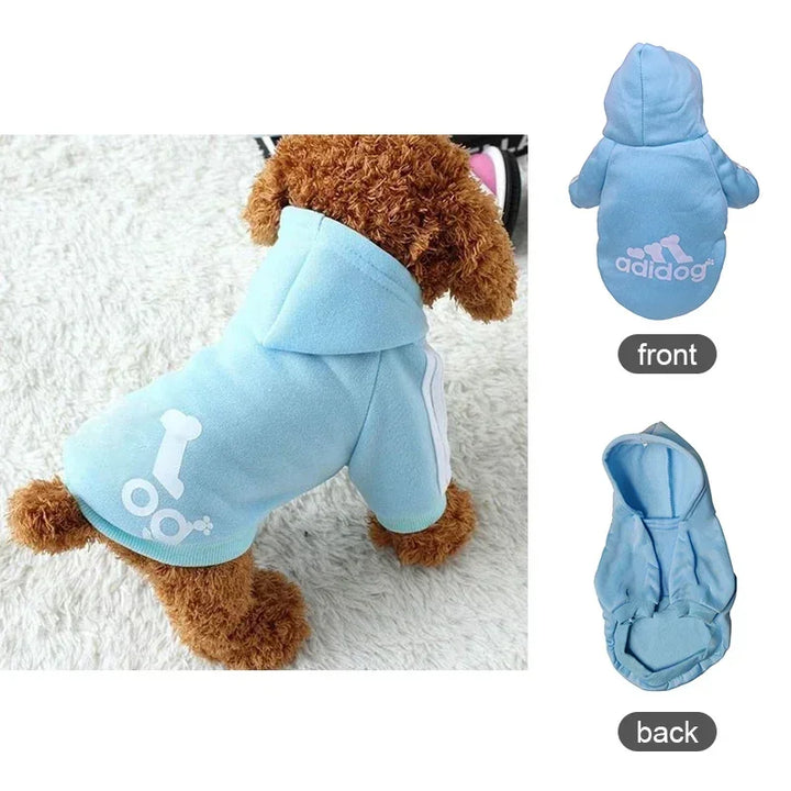 Pets-Shop. A brown toy poodle wearing a blue 'adidog' hoodie, shown from front and back views on a white furry surface. Shopets-Amazon.