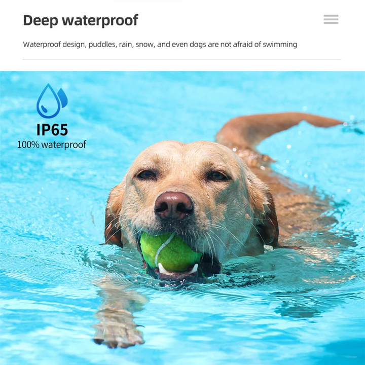 Pets-Shop. A happy dog swimming with a green ball in its mouth in a clear blue pool. IP65, 100% waterproof caption. Shopets-Amazon.