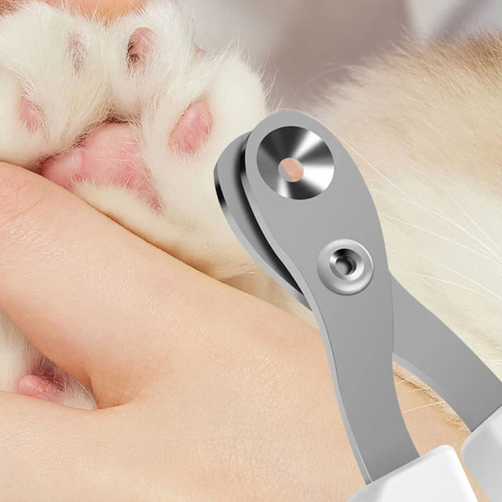 Pets-Shop. Close-up of a pet nail clipper trimming a cat's claws being held by a person's hand. Shopets-Amazon.