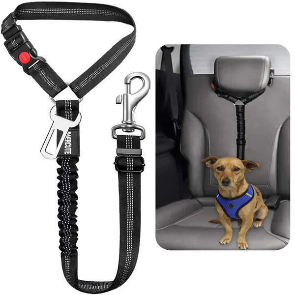 Pets-Shop: Dog car safety seat belt tether with elastic bungee and clip, alongside image of a dog wearing a harness attached to car seat. Shopets-Amazon.