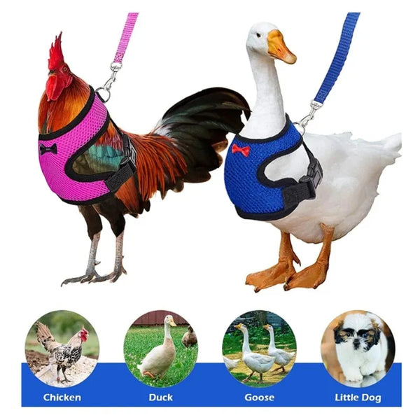 SHOPETS Poultry Chicken Clothes Set for Ducks and Hens